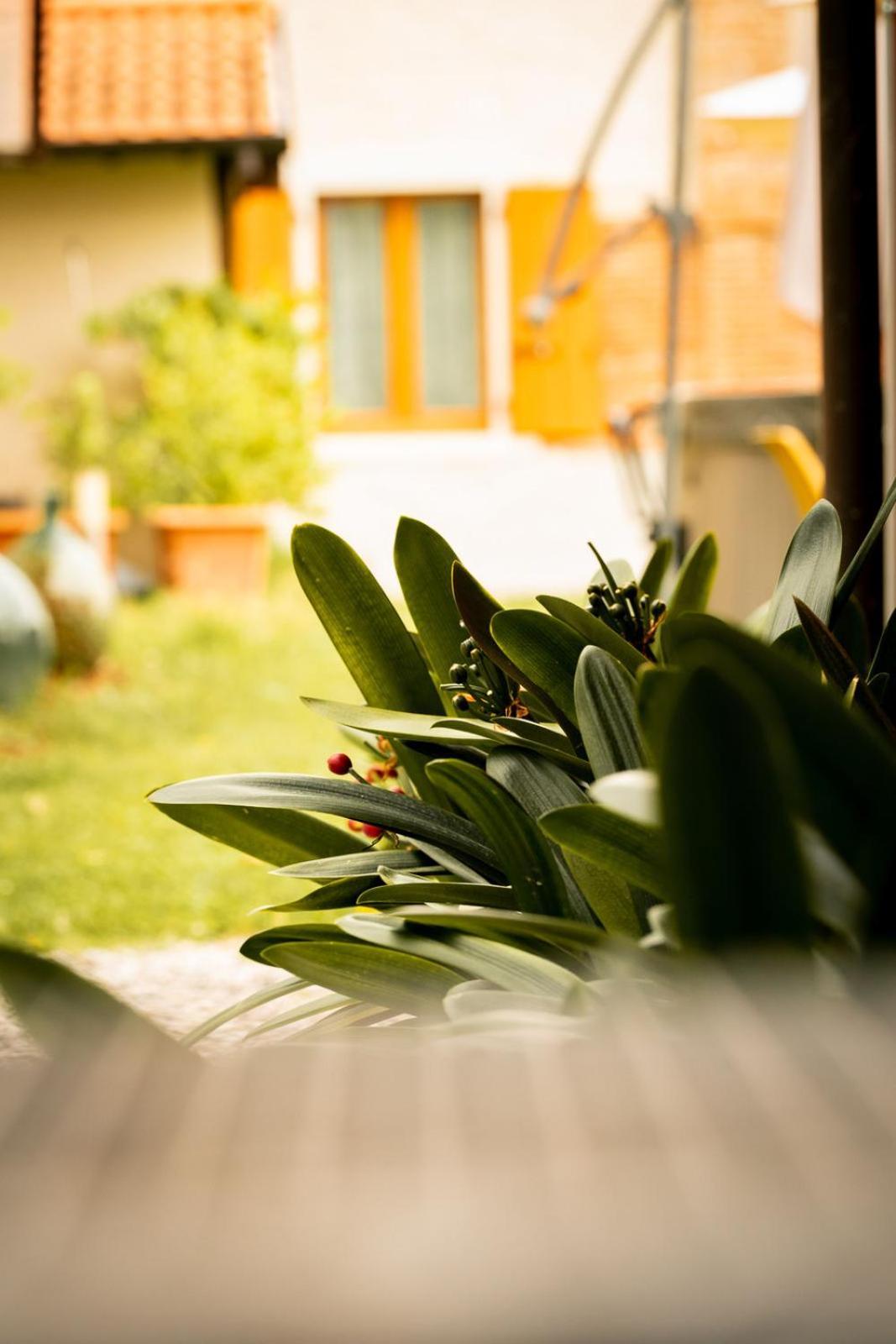 סאלו Agriturismo Podere Nigriano מראה חיצוני תמונה