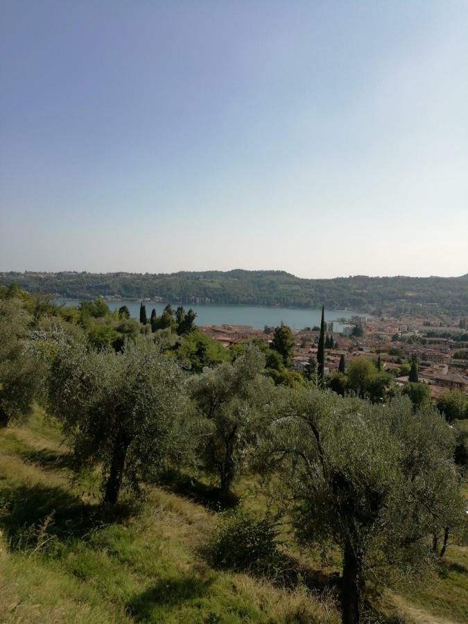 סאלו Agriturismo Podere Nigriano מראה חיצוני תמונה
