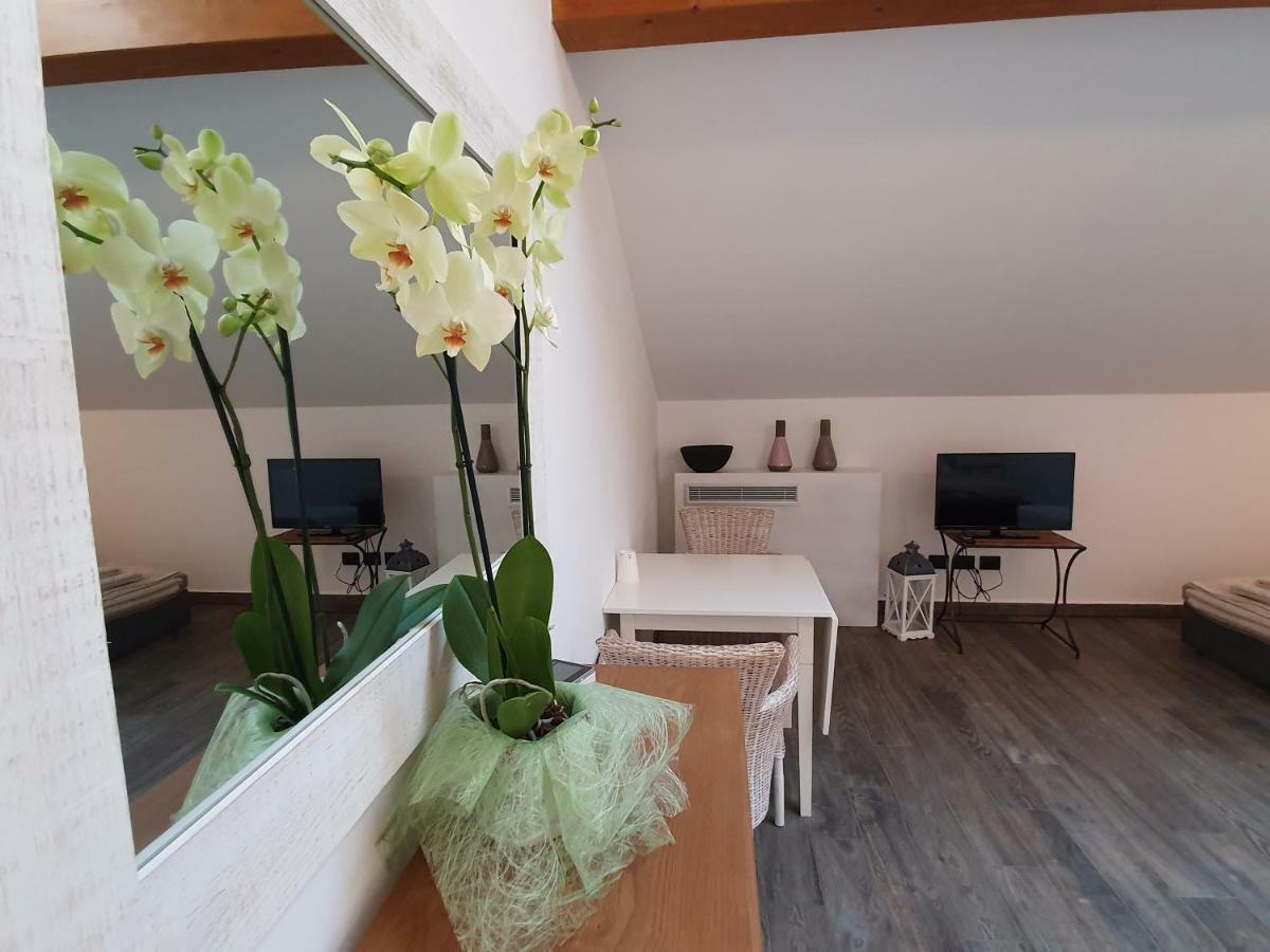 סאלו Agriturismo Podere Nigriano מראה חיצוני תמונה